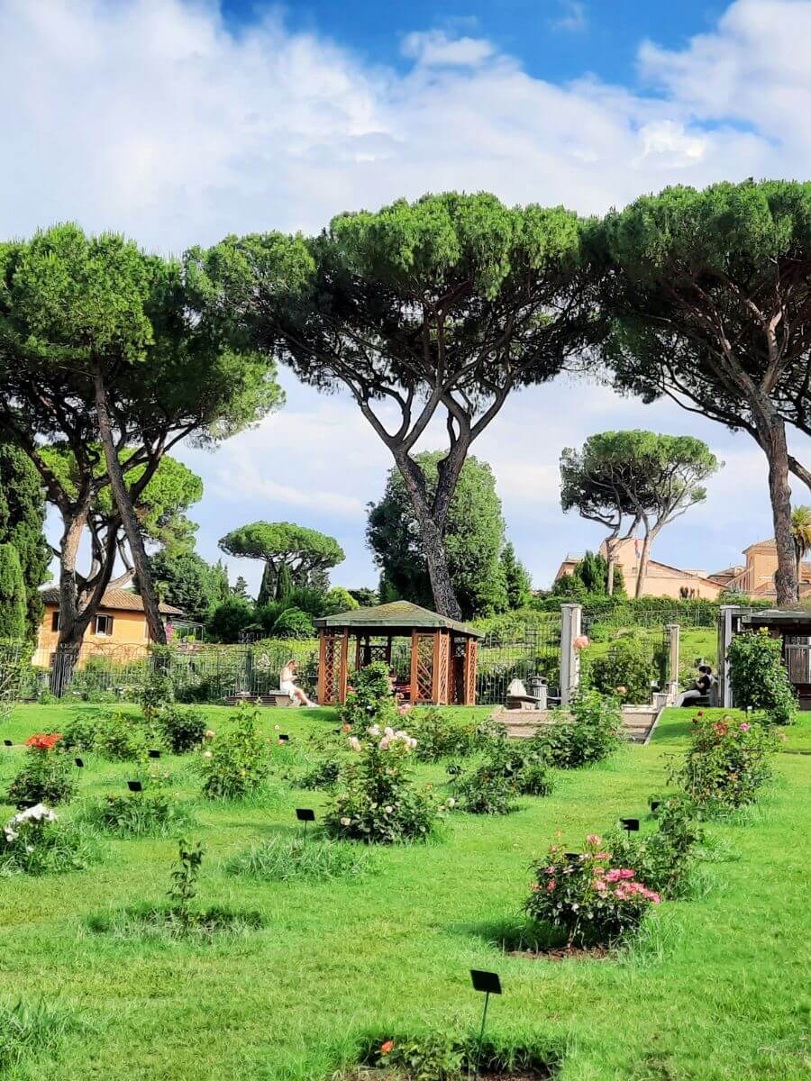 La Roseraie de Rome (Roseto Comunale) colline de l'Aventin